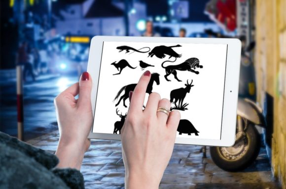 Enhancing Digital Art with 10 Beautiful Animal Brush Stamps V 14