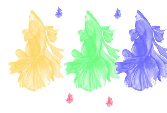 Fish Colorful Brush Set: Elevate Your Digital Art