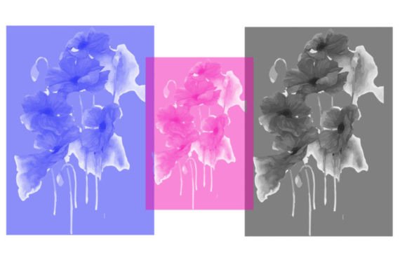Mastering Brush 65: Essential Tips for Digital Artists and Designers