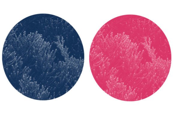 Mastering Digital Art with Brush Set 47